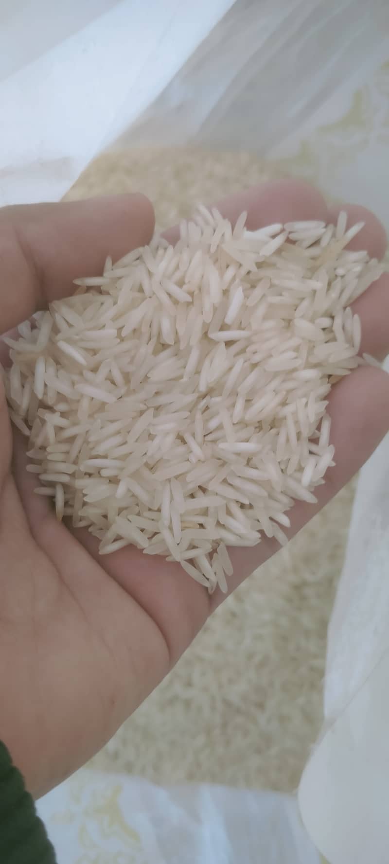 kaynat steam 1121 rice 0