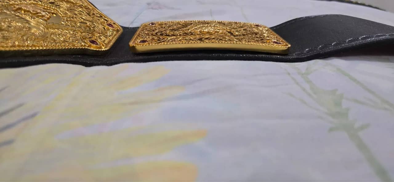 Custom Made WWE World Heavyweight Championship 6