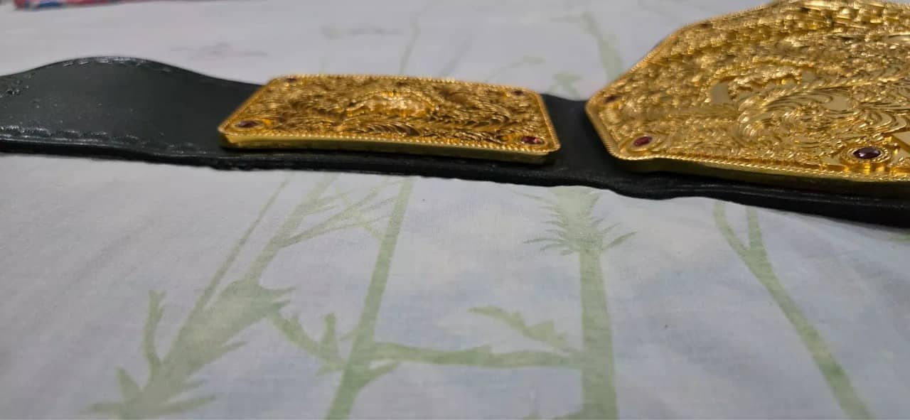 Custom Made WWE World Heavyweight Championship 7