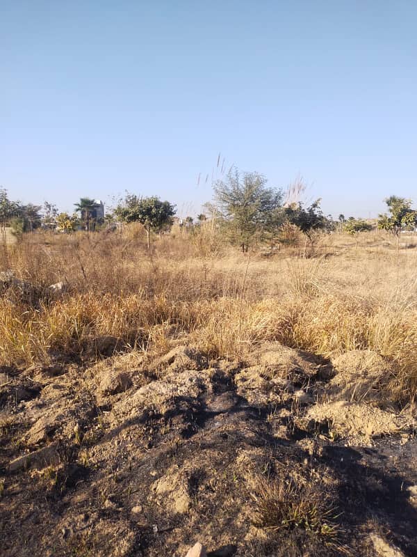 Commercial Plot for sale Zamar Valley Islamabad 3