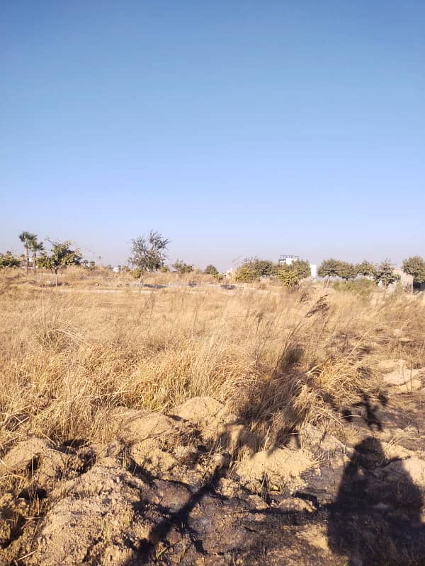 Zamar Valley plot for sale 0