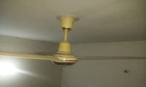 Ceiling fan Indus