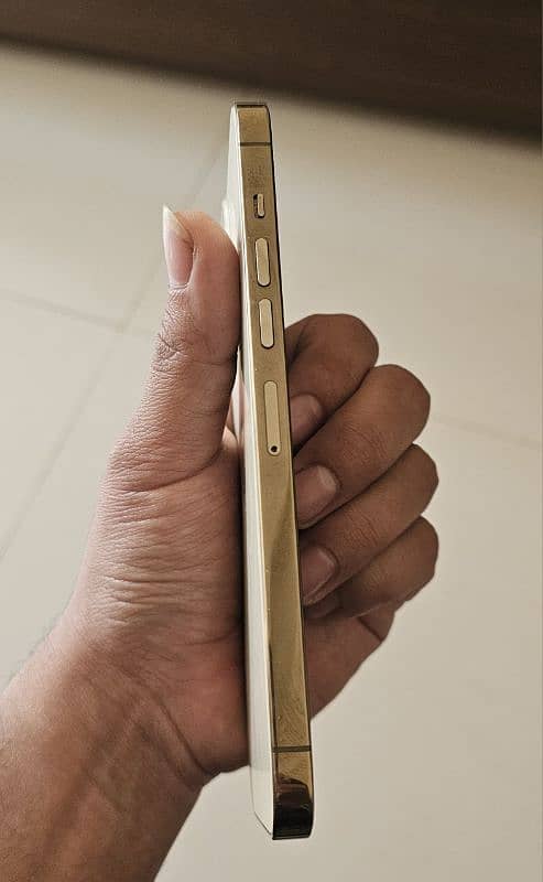 Iphone 13 Pro Max 1 TB Gold FU 2