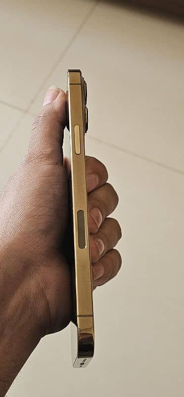 Iphone 13 Pro Max 1 TB Gold FU 5