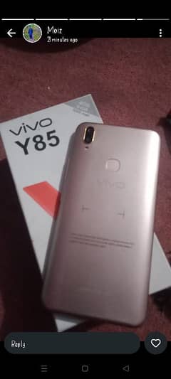 Vivo