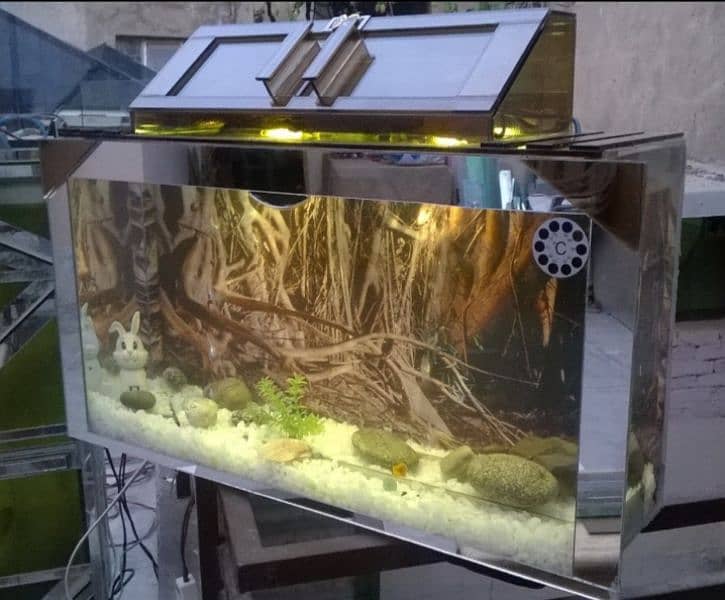 brownie best aquarium 2