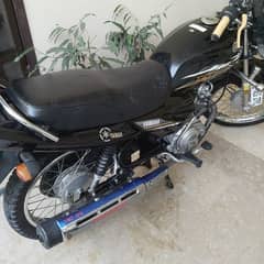 Yamaha