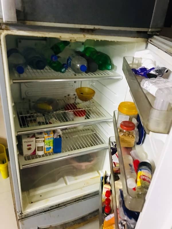 Fridge 3