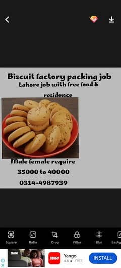 Job / jobs in Biscuit factory staff  packing job required male female