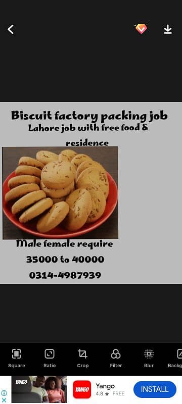 Biscuit factory staff required male female 0