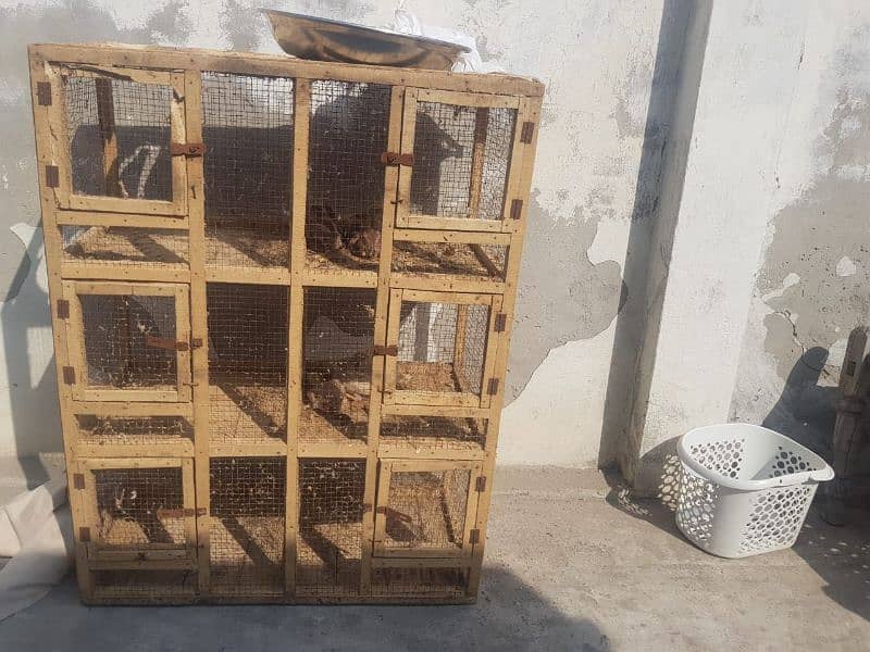 gen and parrot cage for sale and also australian parrot 2