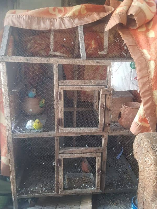 gen and parrot cage for sale and also australian parrot 3