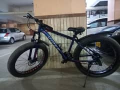 fat bike