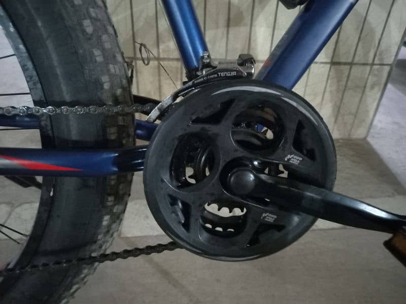 fat bike 8