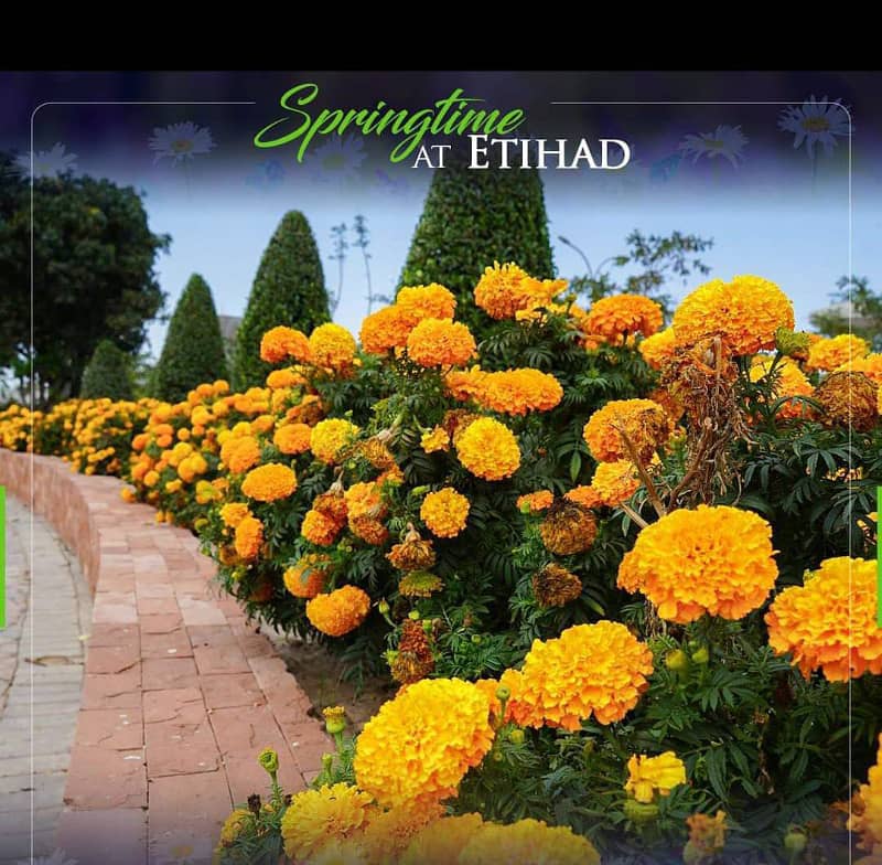 5 MARLA PLOT FOR SALE IN ETIHAD TOWN PHASE 1 LAHORE. 3