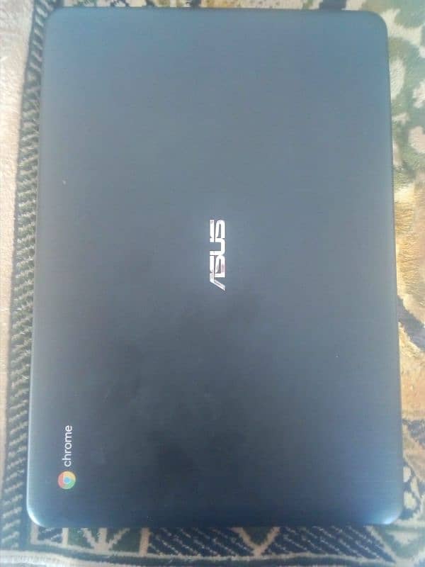 Asus c300s 1