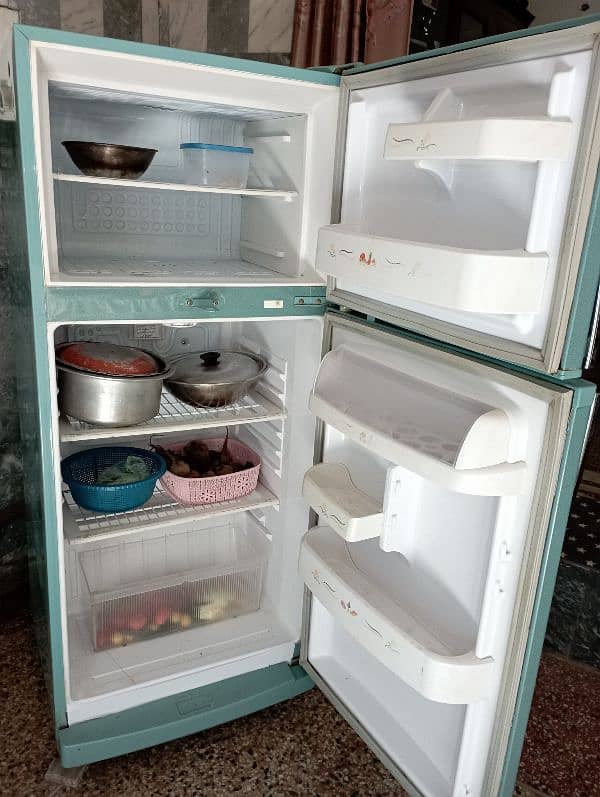 Medium fridge 1