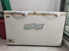 Waves Jumbo Deep Freezer For Sale