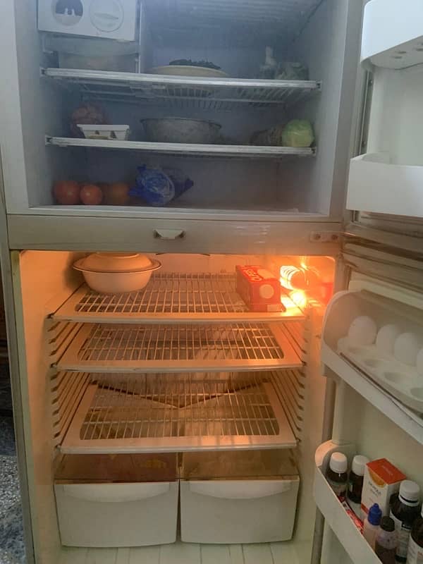 pel fridge in mint condition 1