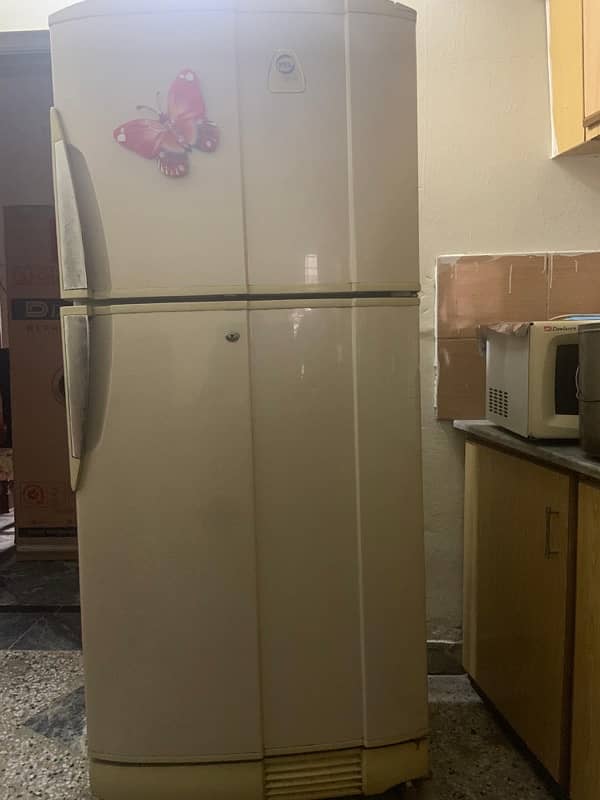 pel fridge in mint condition 2