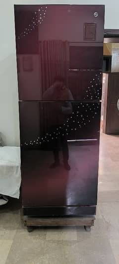 PEL Galaxy Glass Door Jumbo