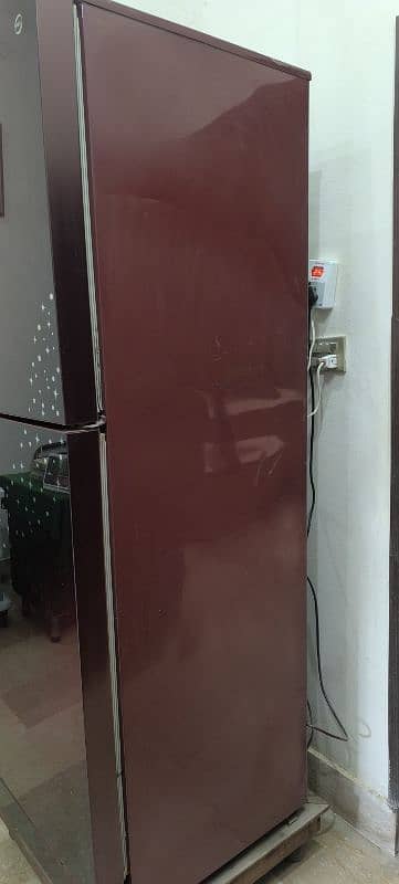 PEL Galaxy Glass Door Jumbo 1