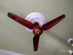 03 AC fans