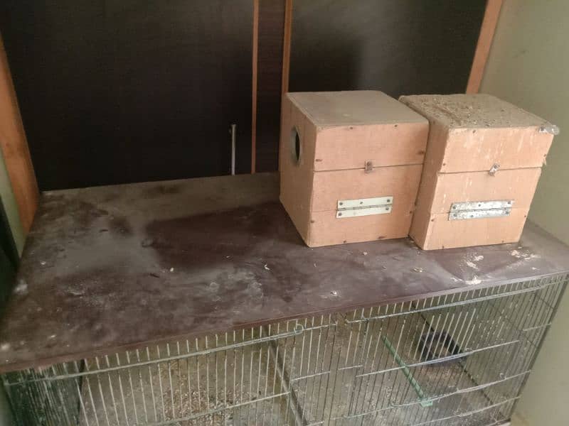 6 Partition Cage In Good Condition 2