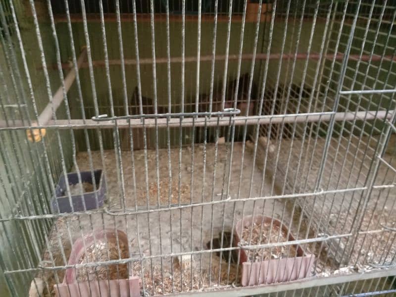 6 Partition Cage In Good Condition 3