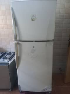 fridge freezer