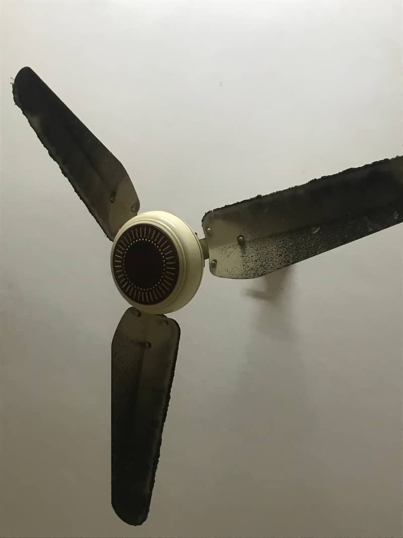 Ceiling Fan 1