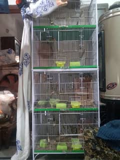 love birds with cage