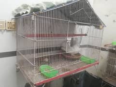 Parrot Cage