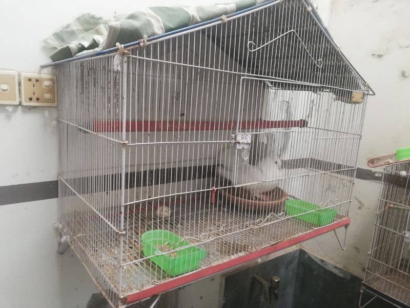 Parrot Cage 0