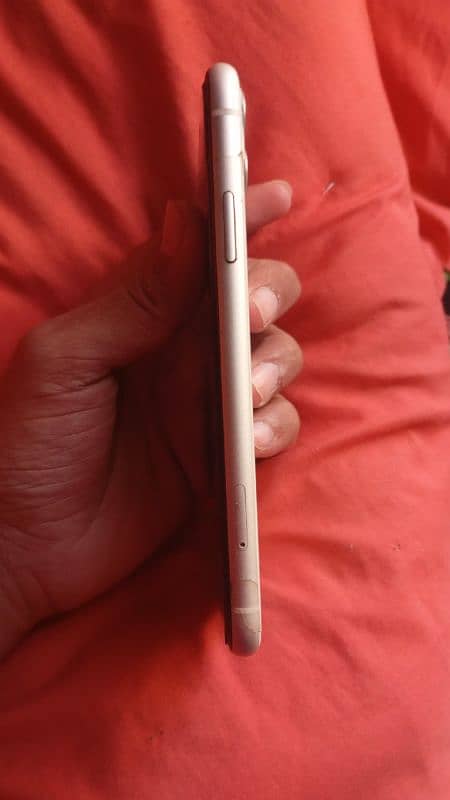 Iphone 11 03242186635 White 1