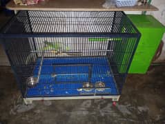 Raw female with big cagewith box