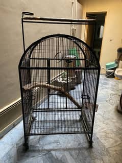 parrot cage