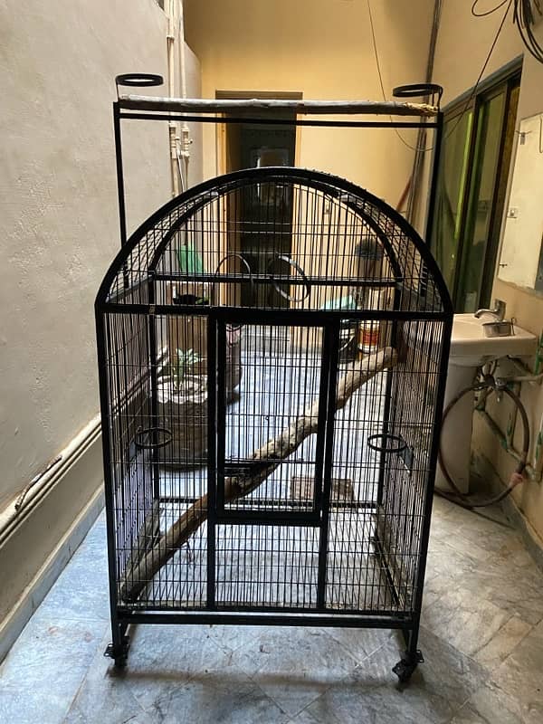 parrot cage 2