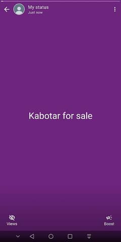 kabotar