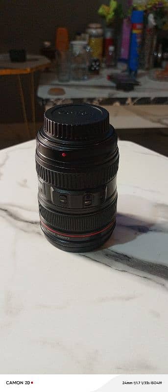 canon 24-105mm f/4L Lens 7