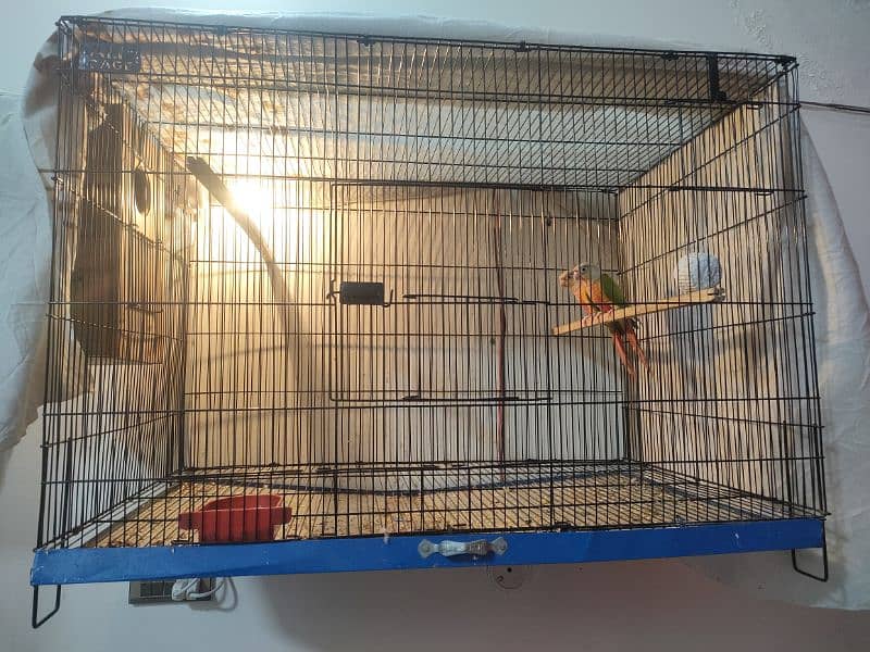 cages for love birds sunconure and big parrot 0