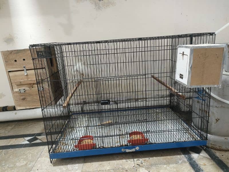 cages for love birds sunconure and big parrot 2