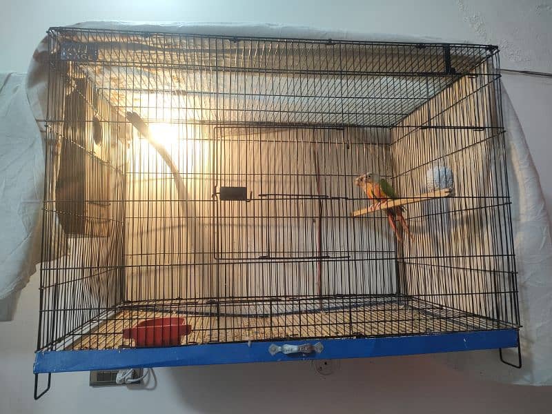 cages for love birds sunconure and big parrot 3