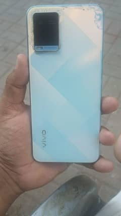 vivo