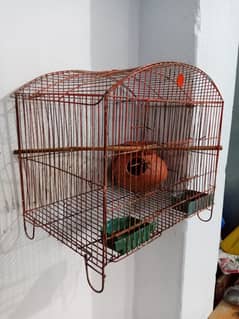 Parrot Cage