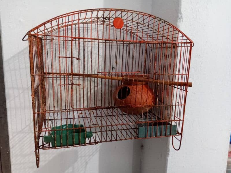 Parrot Cage 1