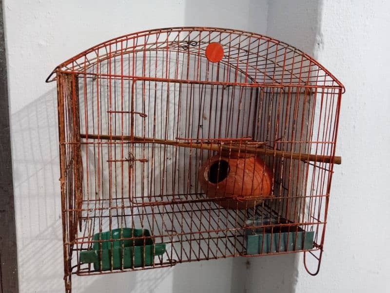 Parrot Cage 2