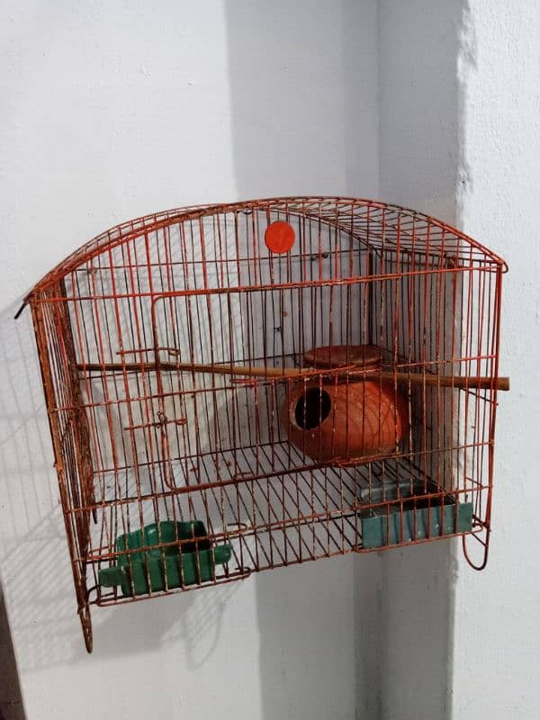 Parrot Cage 3