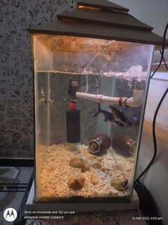 fish aquarium full setup for sell with filter