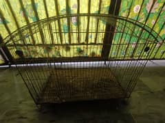 Birds Cage for Parrots, chicks, buddies or Love Birds